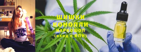 гашик Болохово